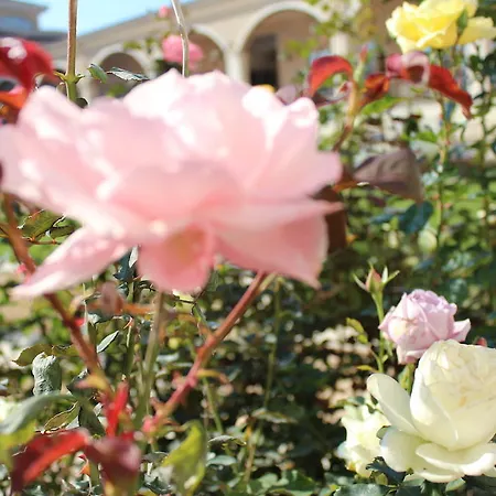 Апарт-отель Apartments Atia Черноморец