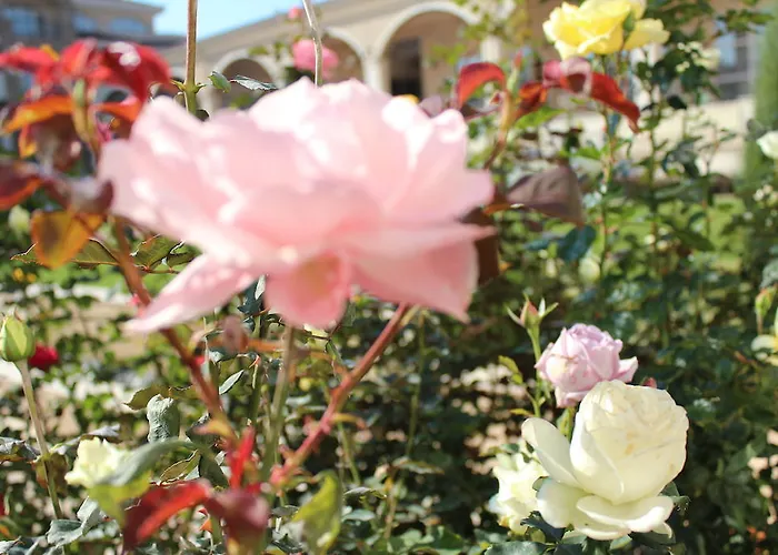 Apart Otel Apartments Atia Chernomorets